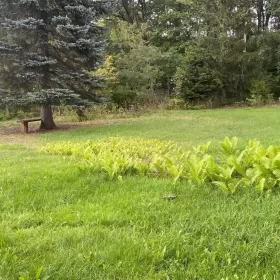 Sprzedam Działkę budowlaną Radom