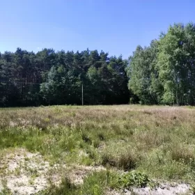 Sprzedam działkę pod Kielcami Kranów ładna działka pod lasem, 7 min od Kielc