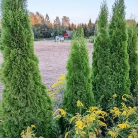 Sprzedam działkę budowlaną 1000m2 lub 2200m2