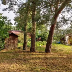 Działka rekreacyjna ROD Pod Dębem Szczecin 