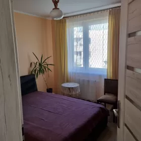 mieszkanie do wynajęcia
