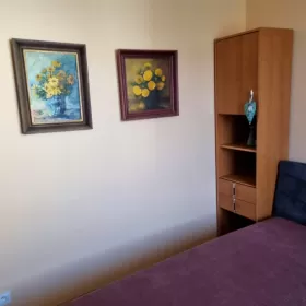 mieszkanie do wynajęcia
