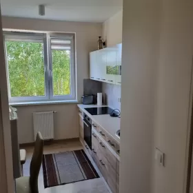 mieszkanie do wynajęcia
