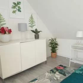Wynajmę mieszkanie dwupoziomowe Katowice