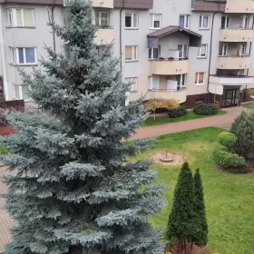 Przytulne mieszkanie 53 m², 2 pok. Piastów w dobrej lokalizacji