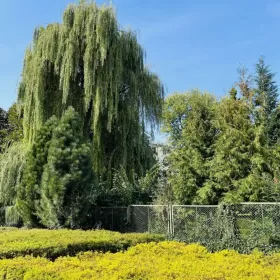 Mieszkanie 65 m2,ul.Leśna 13, 3 pokoje,4 piętro, balkon,piwnica,jasne