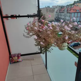 Kawalerka w centrum miasta