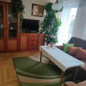 Kawalerka w centrum miasta
