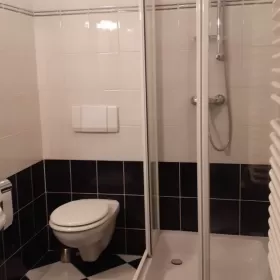 Dom na Woli Justowskiej, Park Decjusza!