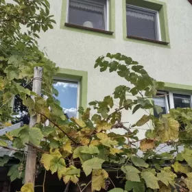 Dom 140m2 w Wałczu sprzedam lub zamienię na mieszkanie