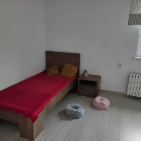 Do wynajęcia dom na przeciw Uniwersytetu Zielonogórskiego
