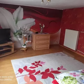 Sprzedam 1/2 domu na wsi Kłodzko