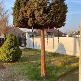 Segment/mieszkanie bez posredników !!!