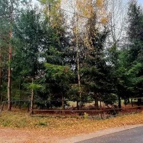 Sprzedam nowy dom całoroczny duża działka  18ar Piasutno Żelazne