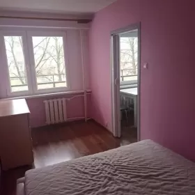 Wynajmę mieszkanie w Płocku