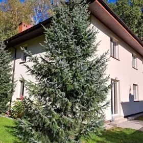 bezpośrednio, 118 m2 Marki, Grunwaldzka 44 z z ogrodem w lesie