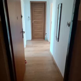 Wynajmę mieszkanie 2 pokoje 4 piętro Al. Wolności 45m2 centrum miasta