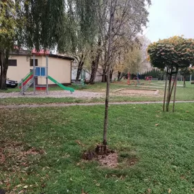 Wynajmę mieszkanie 2 pokoje 4 piętro Al. Wolności 45m2 centrum miasta
