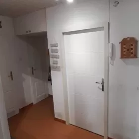 Bezpośrednio 3pok 50m2 parter Kleeberga zaraz obok parku i galerii
