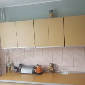 Do wynajęcia mieszkanie 46m². 2pokoje, duża kuchnia, łazienka. Od 1.12