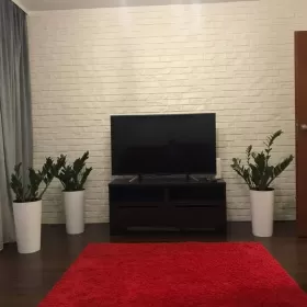 Mieszkanie do wynajecia