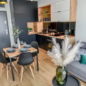 Słoneczny apartament 2 pokojowy - od zaraz