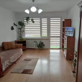 Wynajmę dużą kawalerkę na osiedlu tęczowym.