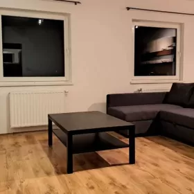 Do wynajęcia mieszkanie 2-pokojowe, 54,5 m2, Plewiska, Kozłowskiego