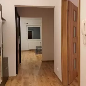 Do wynajęcia mieszkanie 2-pokojowe, 54,5 m2, Plewiska, Kozłowskiego
