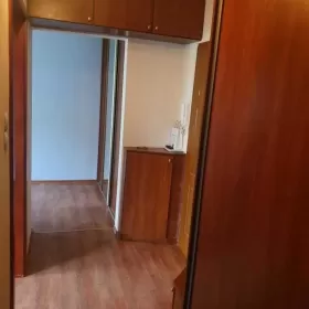 Posiadam mieszkanie do wynajęcia Konin Okólna