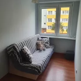 Posiadam mieszkanie do wynajęcia Konin Okólna