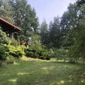 2 Pokoje do wynajęcia w Milanówku