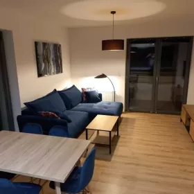 Mieszkanie 3 pokojowe do wynajęcia Skórzewo