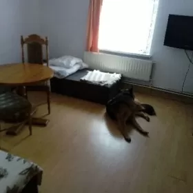 Wynajme mieszkanie Zgorzelec