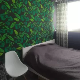 Wynajmę Mieszkanie 3 pokoje Żagań