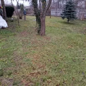 Sprzedam działkę rekreacyjną ROD