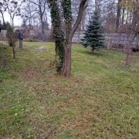 Sprzedam działkę rekreacyjną ROD