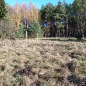 Sprzedam działkę budowlaną w Zamościu