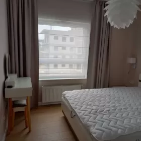 Mieszkanie 60 m2 do wynajęcia Poznań Grunwald 