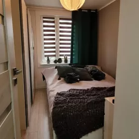 Wynajmę mieszkanie 40m w Pionki 