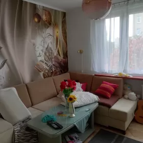 Sprzedam mieszkanie w bloku w Pionki 