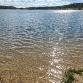 Sprzedam działkę Własna linia brzegowa plaża rzeka las JEZIORO Wrocław BOLESŁAWICE