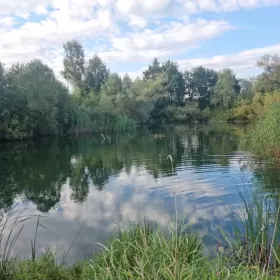 Sprzedam działkę Własna linia brzegowa plaża rzeka las JEZIORO Wrocław BOLESŁAWICE