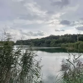 Sprzedam działkę Własna linia brzegowa plaża rzeka las JEZIORO Wrocław BOLESŁAWICE