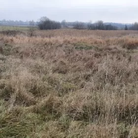 Sprzedam działkę 3 Km od Krakowa, Tomaszowice pow. 1100 m2