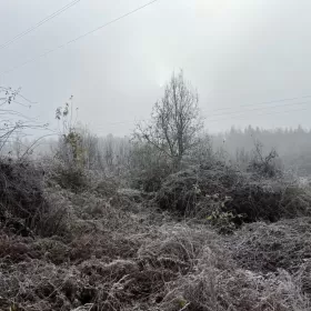 Sprzedam działke budowlaną Kielce 