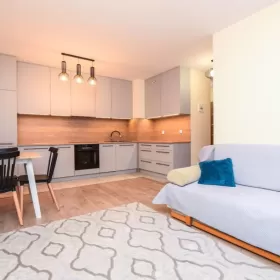 Wynajmę mieszkanie 55m2, 3 pok Kraków Nowa Huta 