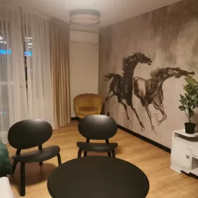 Wynajmę mieszkanie Katowice Centrum - Ekskluzywna Kawalerka