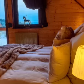 Ferie 2022 Góry/Dom 8 os,/Jacuzzi/Sauna/Karkonosze- ostatnie terminy