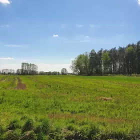 Sprzedam działkę budowlaną 15 km od Siedlec - Zbuczyn